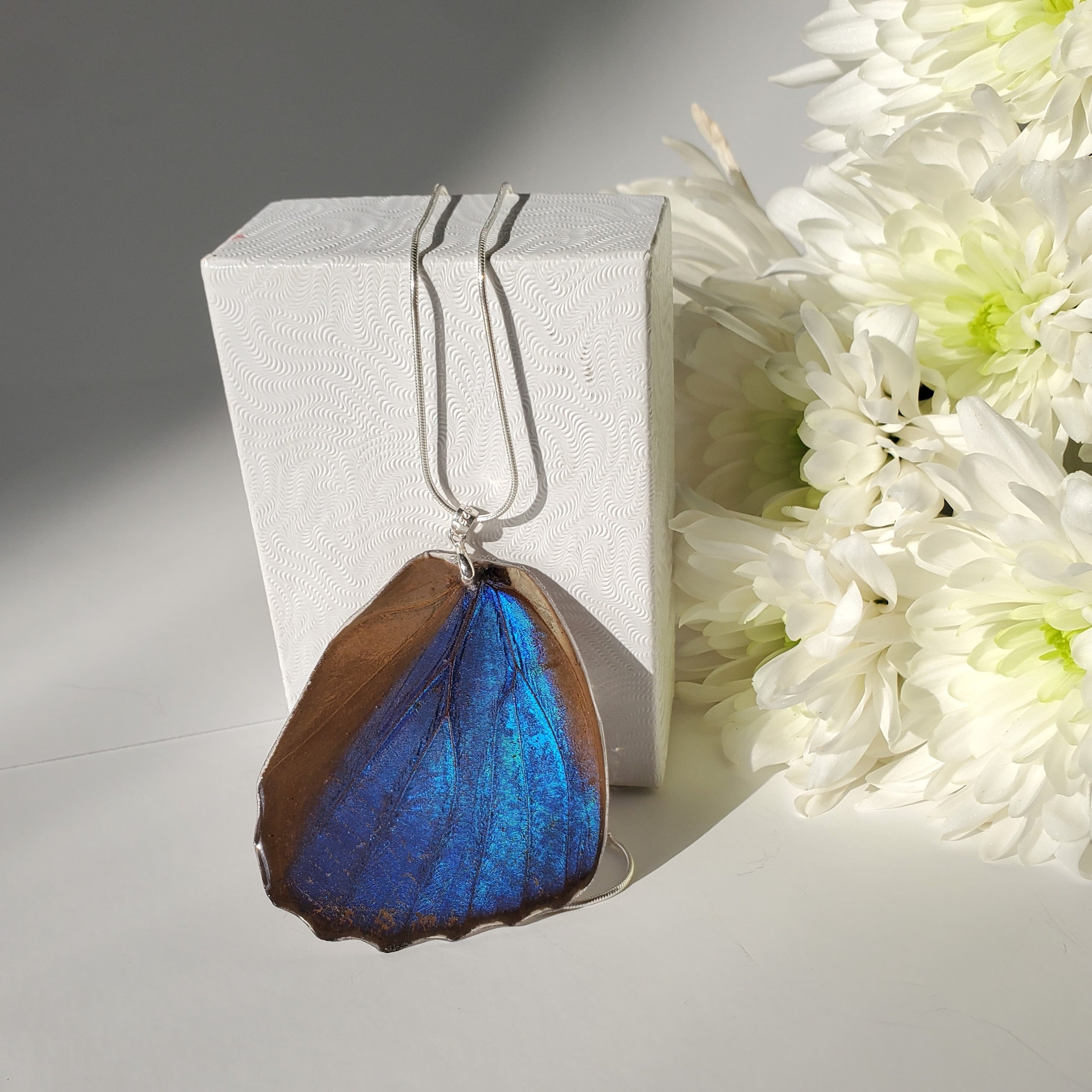 Blue Morpho Butterfly Wing Necklace
